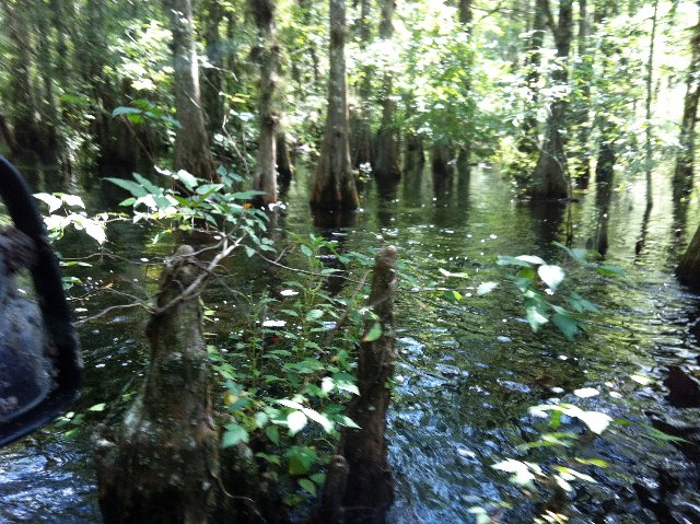 2012-Jul-07HGR4X4_Richloam (99)